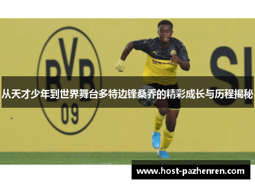 从天才少年到世界舞台多特边锋桑乔的精彩成长与历程揭秘 从天才少年到世界舞台多特边锋桑乔的精彩成长与历程揭秘