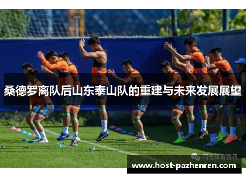 桑德罗离队后山东泰山队的重建与未来发展展望 桑德罗离队后山东泰山队的重建与未来发展展望