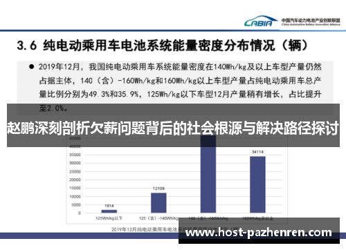 赵鹏深刻剖析欠薪问题背后的社会根源与解决路径探讨