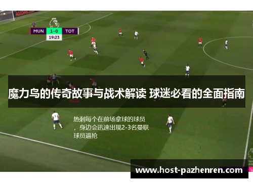 魔力鸟的传奇故事与战术解读 球迷必看的全面指南