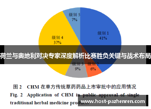 荷兰与奥地利对决专家深度解析比赛胜负关键与战术布局