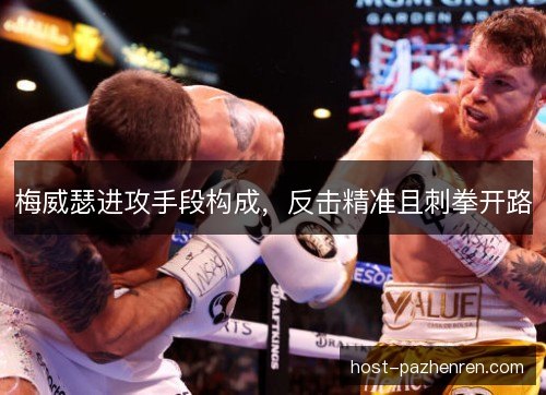 梅威瑟进攻手段构成，反击精准且刺拳开路